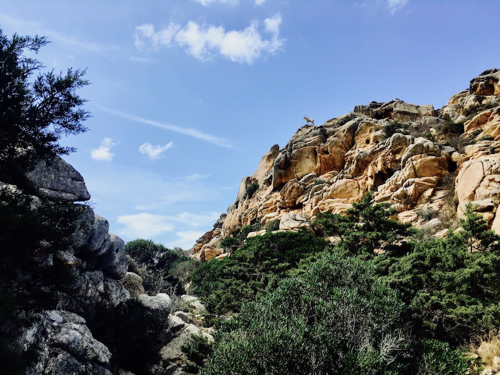 Hiking on Caprera, Sardinia